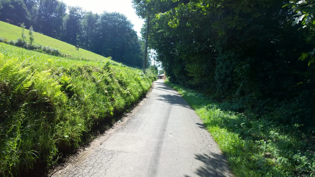 Det er mange fine småveier her, og jeg kan egentlig ikke klage på sykkelveiene. Selv om det er temmelig flatt nord i Belgia.