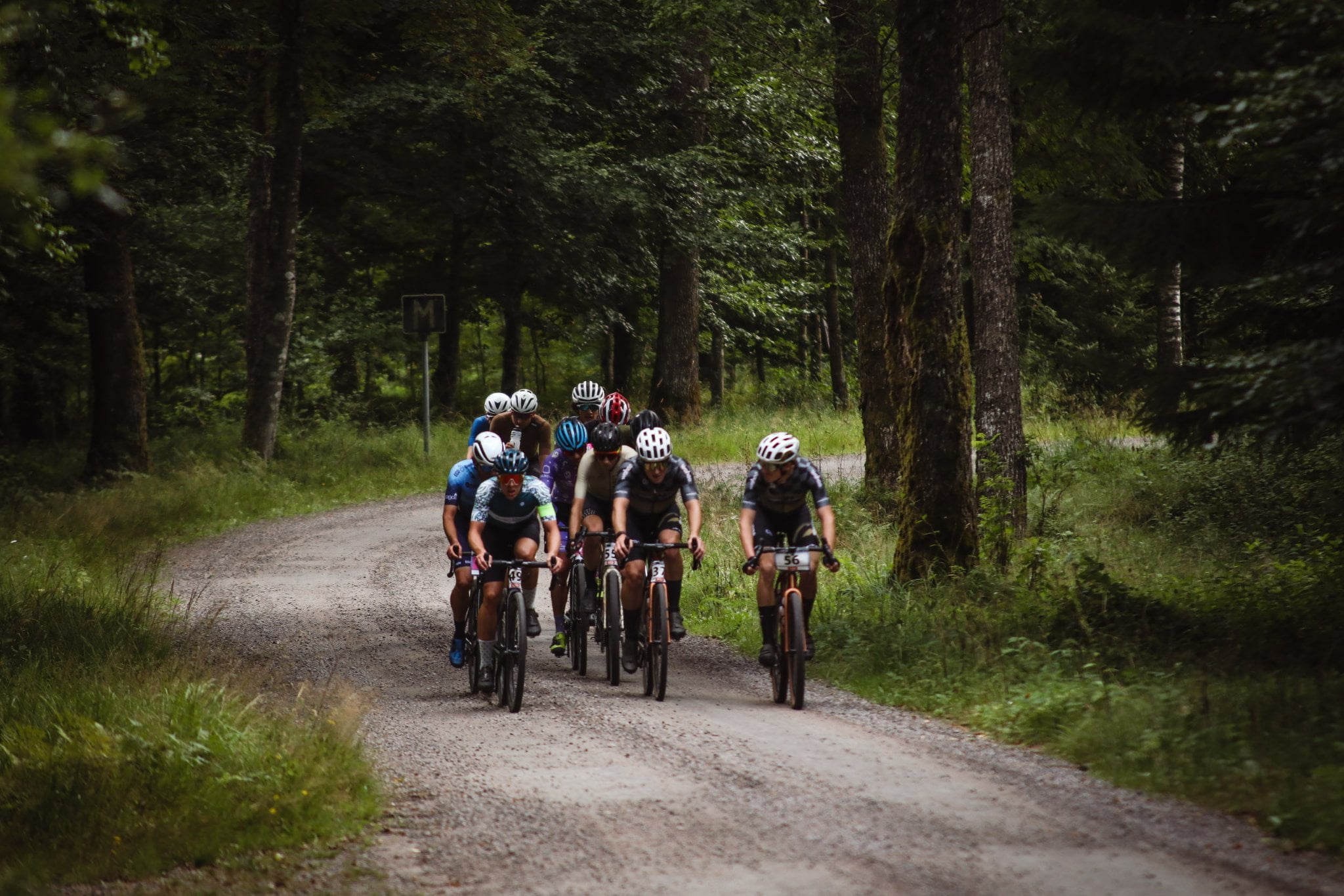 group of cyclist cycling in the forrest 