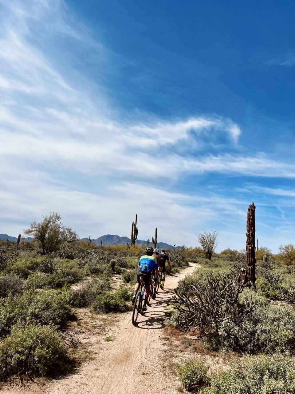 Cycling on a trail among cactuses