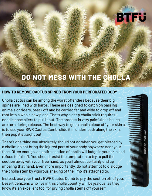 Text of cactus spikes