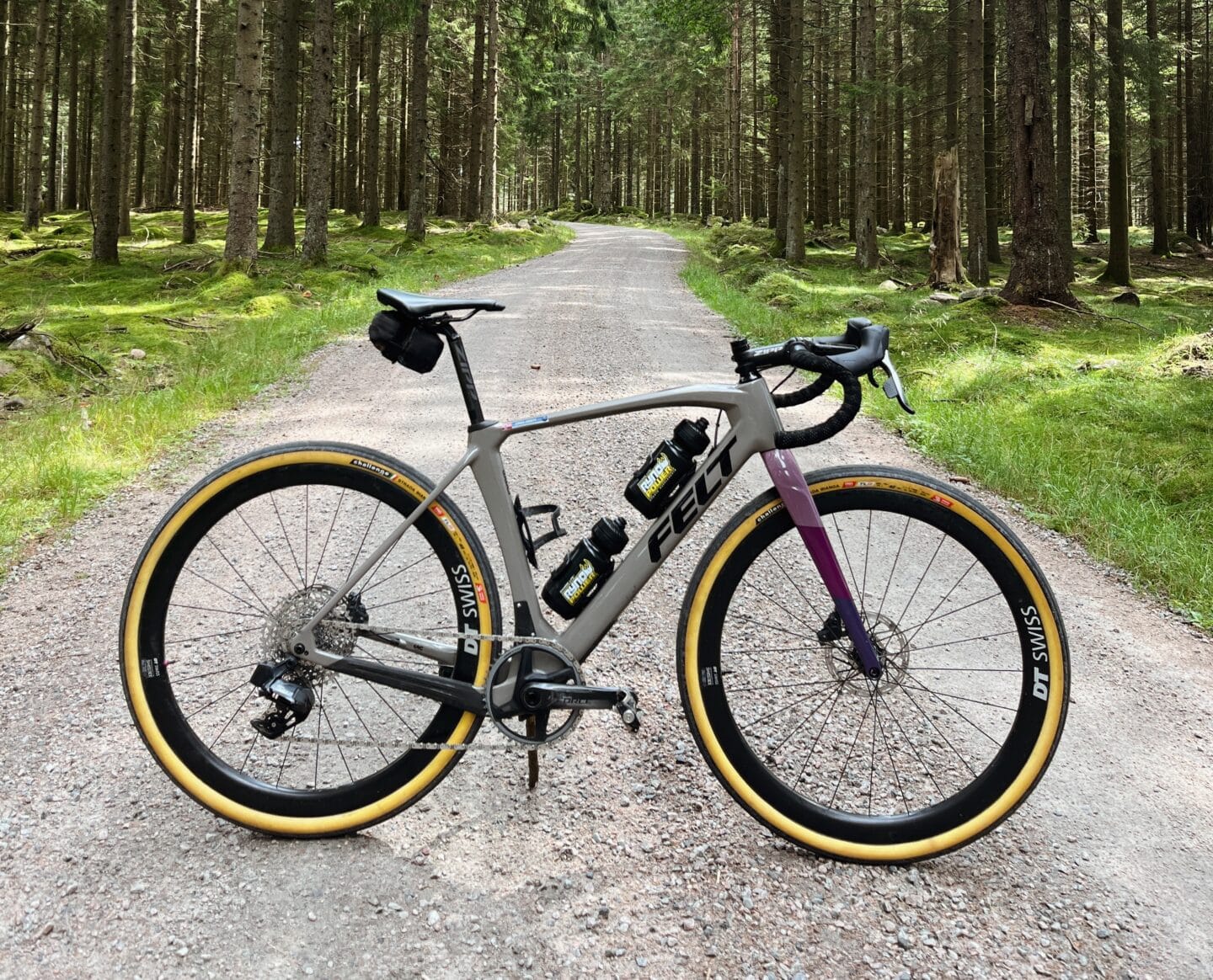 gravel bike in the forest